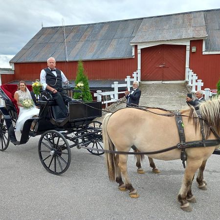 Hotell Eikerapen Gjestegard Aseral Fossdal Dış mekan fotoğraf
